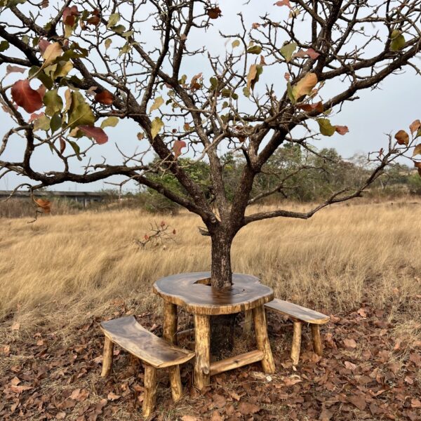Live Edge Round Table Set Indoor & Outdoor