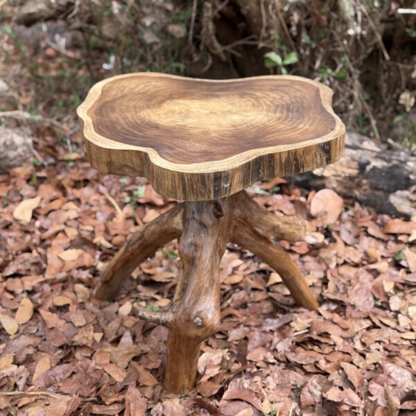 Live Edge Root Base Side Table