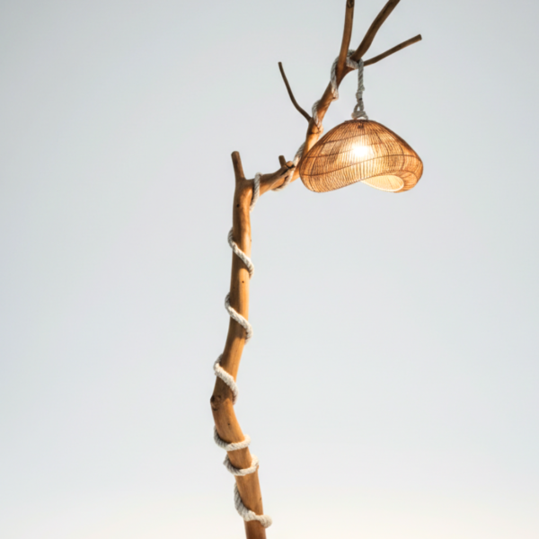 Organic Teak Tree  Branch Lamp