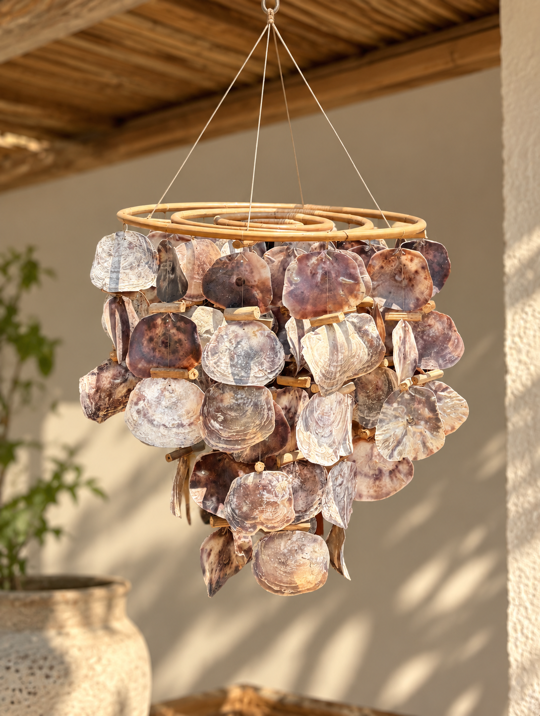 small seashell hanging 30x60 cm